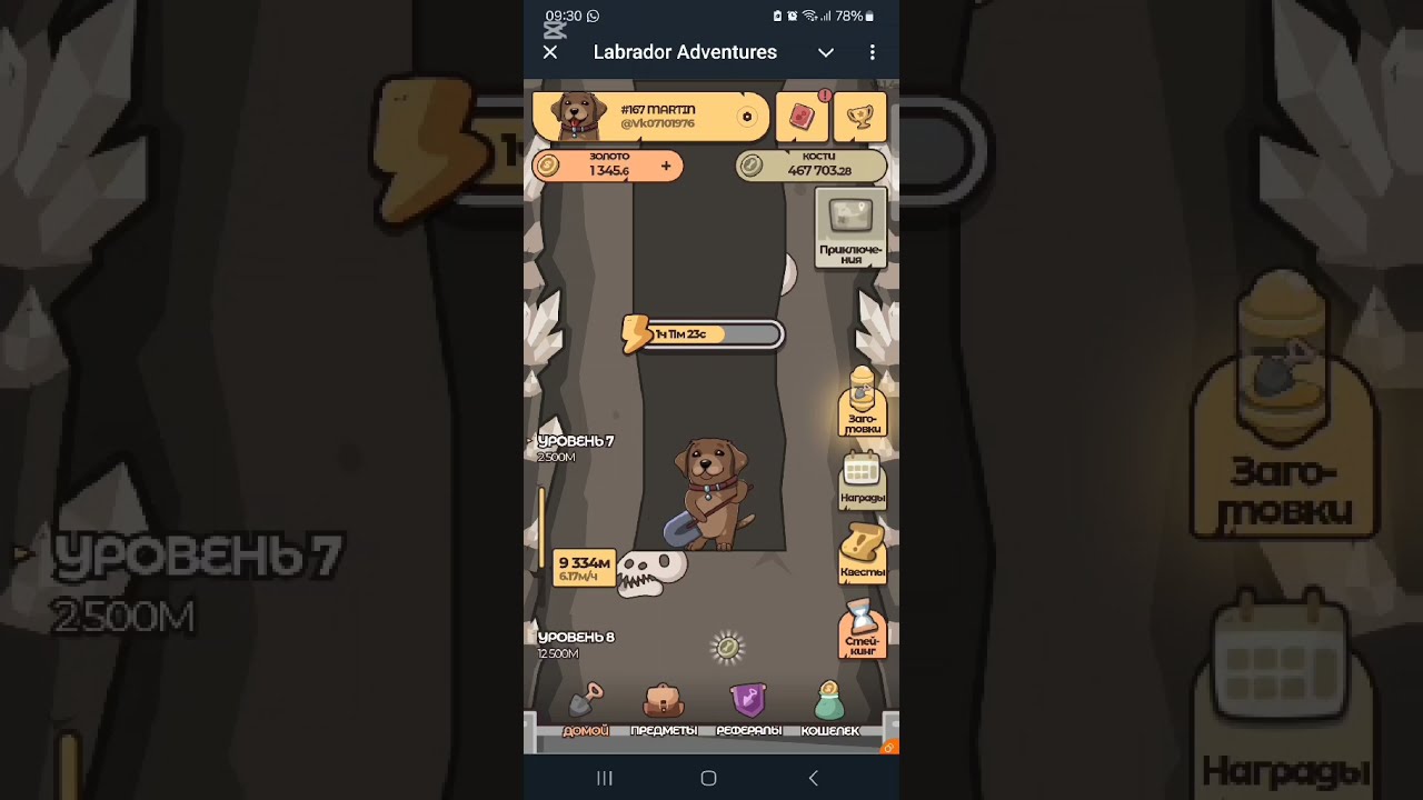 Скриншот интерфейса Labrador Adventures
