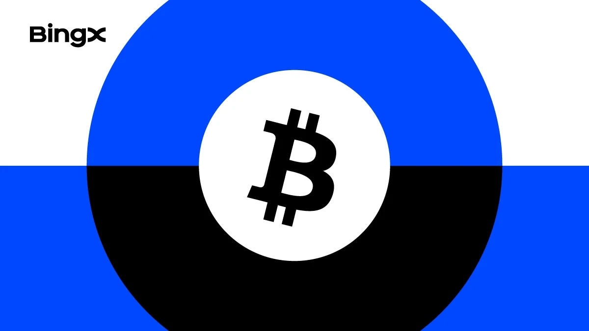 BingX: обзор криптобиржи и как начать торговлю